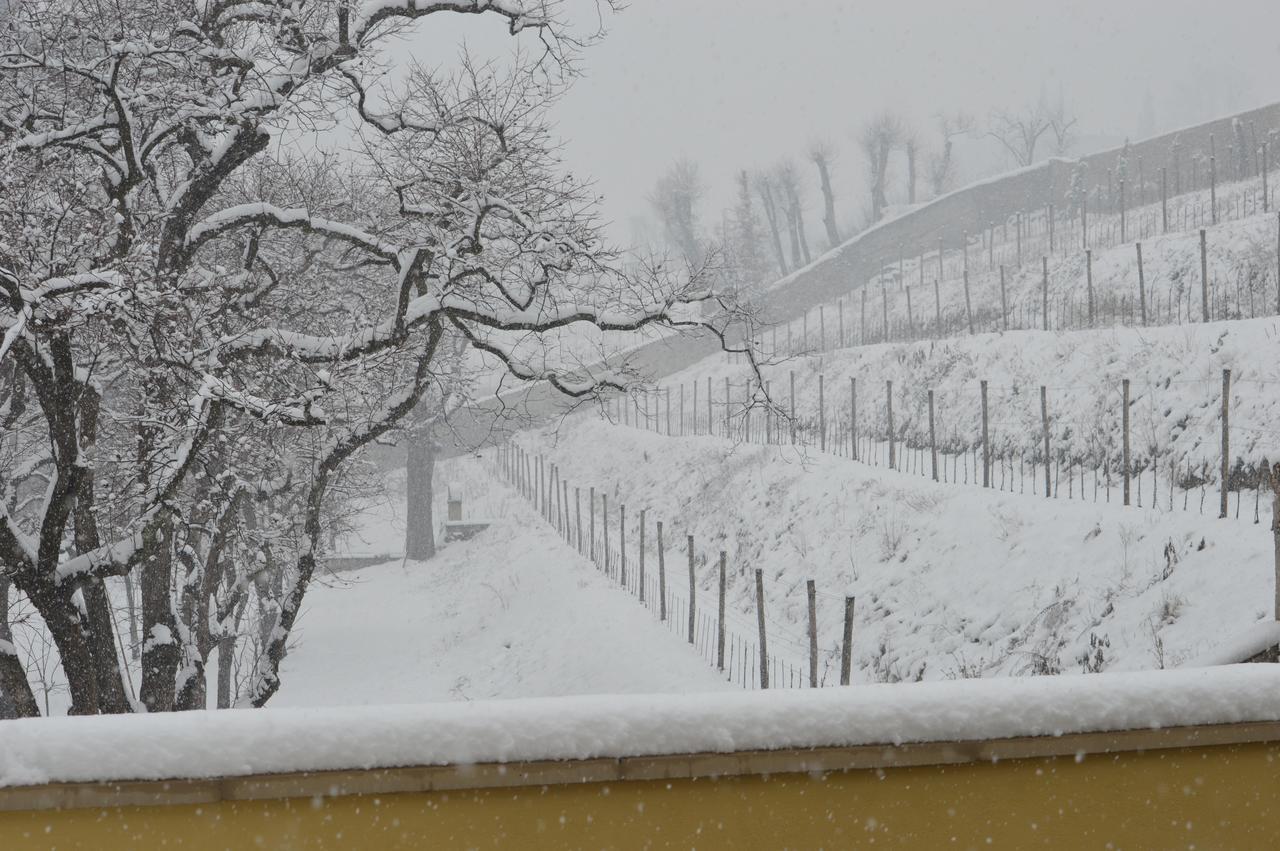 Villa Biondelli Wine & Suites Cazzago San Martino 外观 照片